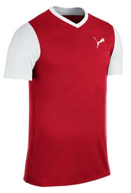 PUMA ADRENO TSHIRT  FOR MEN SIZE LARGE !!!!MARKET VALUE R499.99