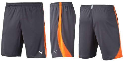 PUMA ORIGNAL DRY ESSENTIAL SHORTS FOR MEN SIZE MEDIUM!!!!! MARKET PRICE R599.99