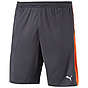 PUMA ORIGNAL DRY ESSENTIAL SHORTS FOR MEN SIZE MEDIUM!!!!! MARKET PRICE R599.99