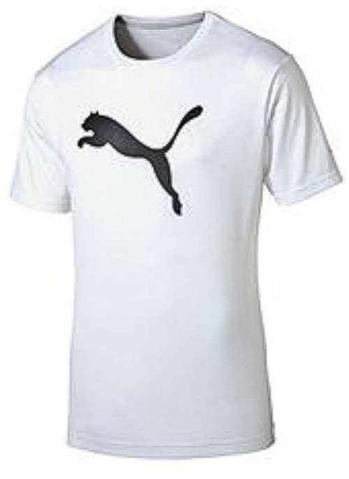 Men's Puma Dry Essential Tee