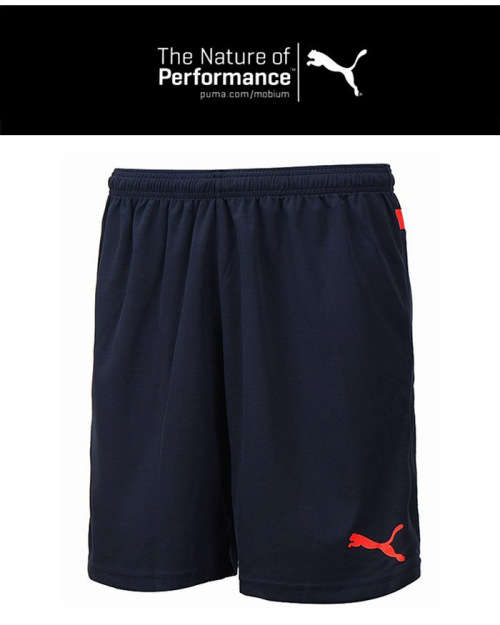 PUMA ORIGINAL BTS SHORTS FOR MEN SIZE 2XL !!!!!! MARKET VALUE R699.99