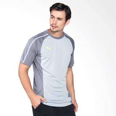 PUMA ORIGNAL IVO TRG TEE FOR MEN SIZE EXTRA LARGE !!!!!! MARKET VALUE R799.99