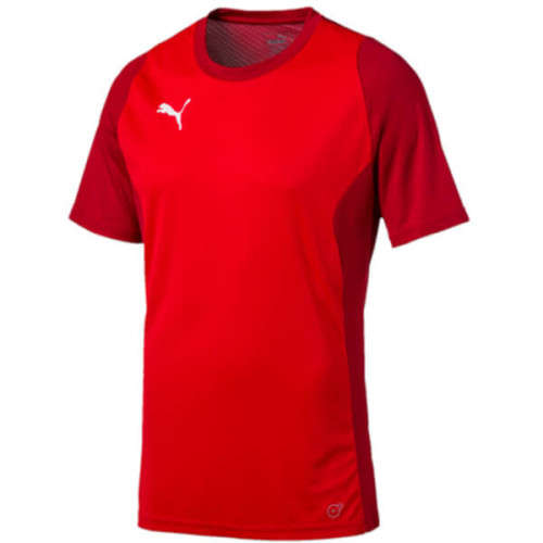 PUMA ORIGNAL TRG TEE FOR MEN SIZE MEDIUM !!!!!! MARKET VALUE R599.99