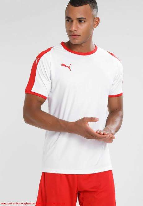 PUMA ORIGINAL LIGA TEE FOR MEN SIZE LARGE  !!!!!! MARKET VALUE R499.99