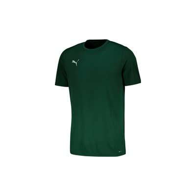 Puma Faster Tee For Men Size Large !!!!!! Value R499.99