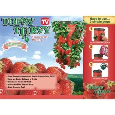 Strawberry Planter