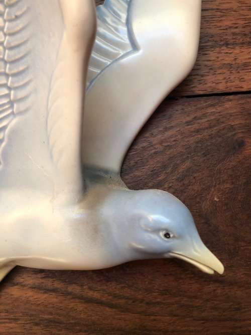 Rare Poole Birds