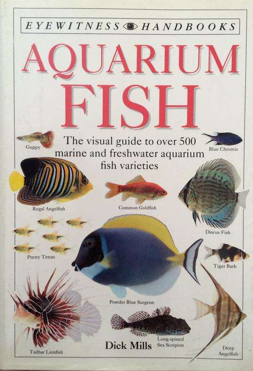 Aquarium Fish