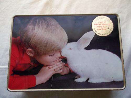 Tin, Boy and rabbit