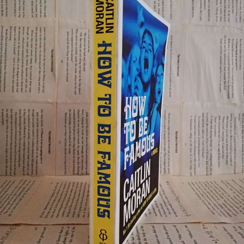 How to be Famous by Caitlin Moran (Book 2)