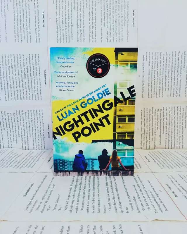 Nightingale Point by Luan Coldie