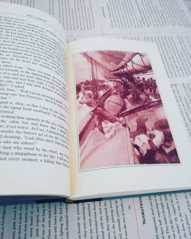 The Sea Wolf by Jack London (1993 edition)
