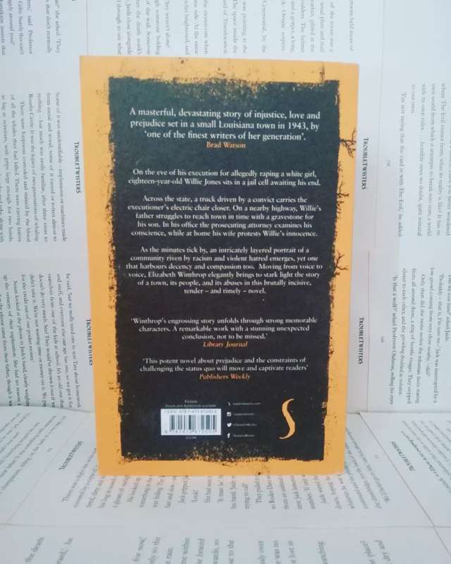 The Mercy Seat by Elizabeth H Winthrop