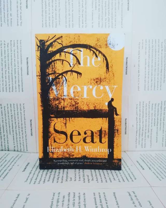 The Mercy Seat by Elizabeth H Winthrop