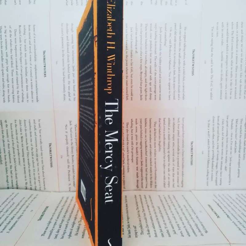 The Mercy Seat by Elizabeth H Winthrop