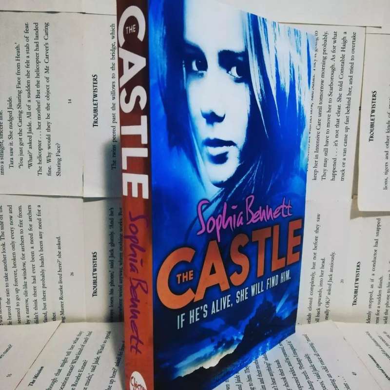 The Castle by Sophia Bennett