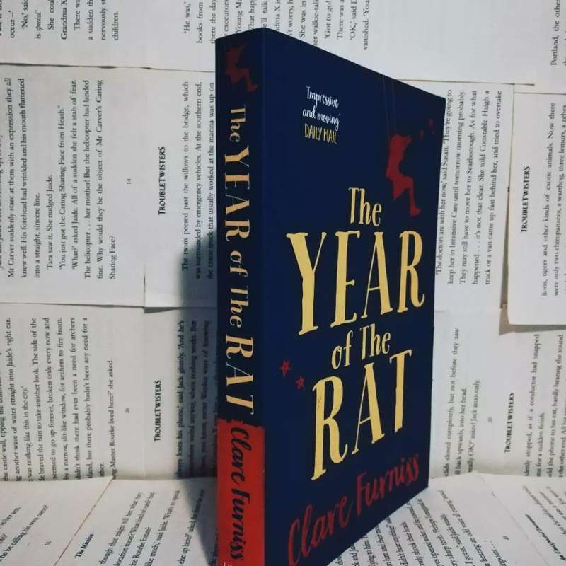 The Year of the Rat by Clare Furniss (Book 2)