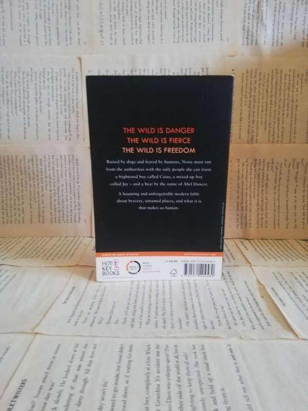 The Boy with the Tiger`s Heart by Linda Coggin