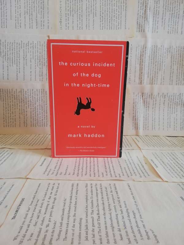 The Curious Incident of the Dog in the Night-time by Mark Haddon