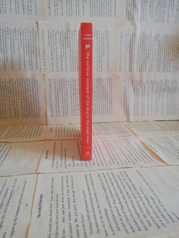 The Curious Incident of the Dog in the Night-time by Mark Haddon