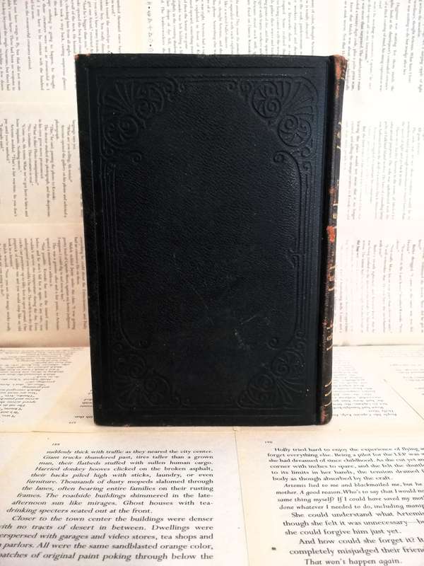 Daniel and the Revelation (1912 edition - more 100 years old)