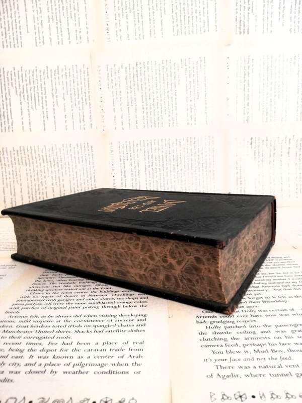 Daniel and the Revelation (1912 edition - more 100 years old)