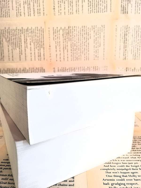 Letters of Sylvia Plath, Volume I: 1940-1956 & The Letters of Sylvia Plath Vol 2: 1956-1963