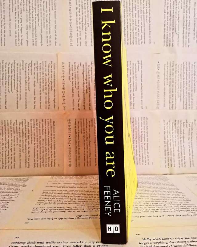 I Know Who You Are by Alice Feeney