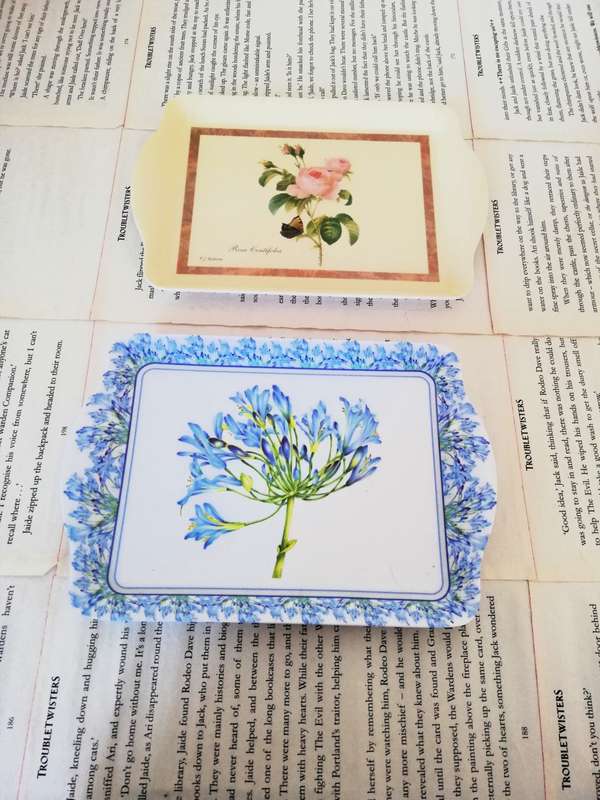 2 x Small Vintage Plastic Tray [Ashdene]