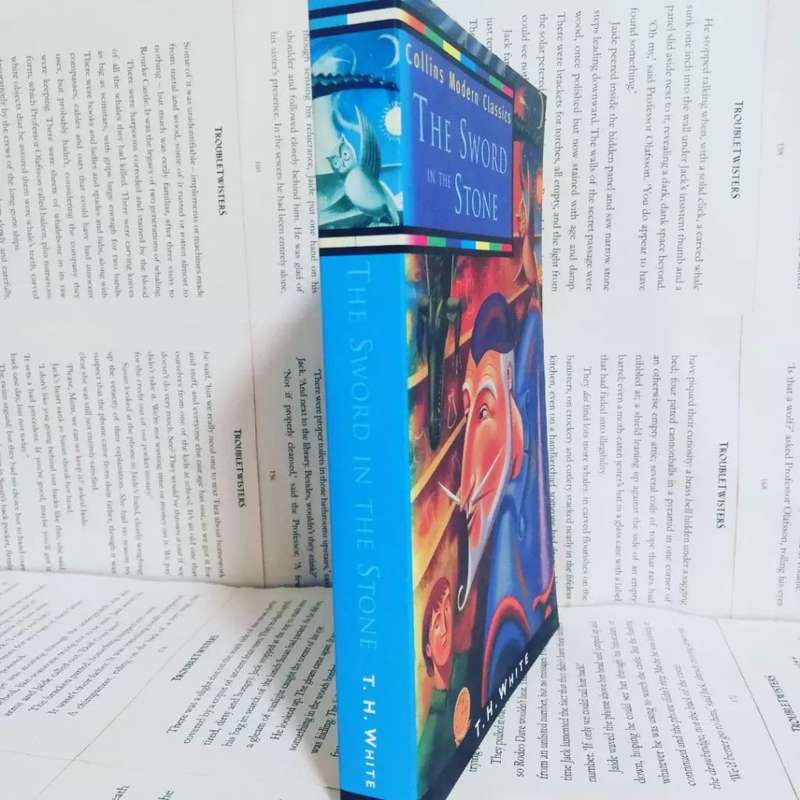 The Sword in the Stone by TG White