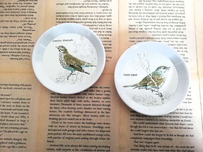 2 X Plastic Trinket Bowl