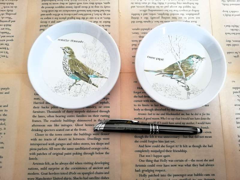 2 X Plastic Trinket Bowl