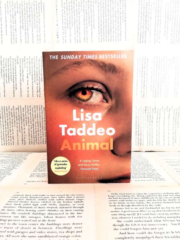 Animal by Lisa Taddeo