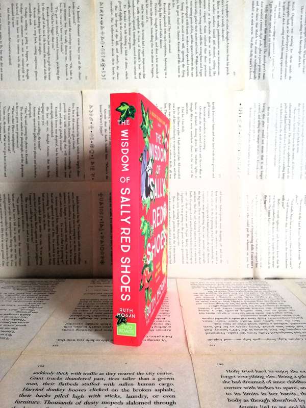 The Wisdom of Sally Red Shoes by Ruth Hogan