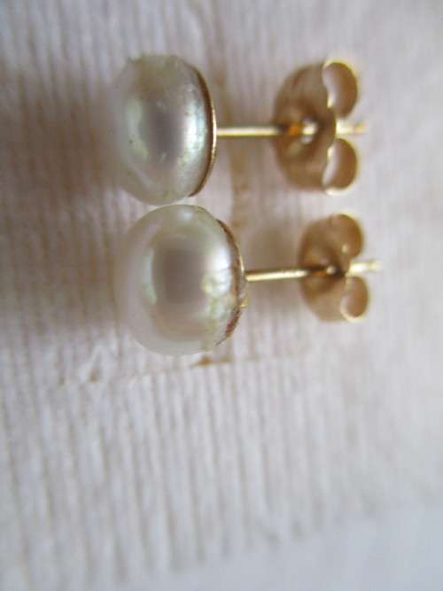 14ct Gold and F.W. Peals Stud/ Earrings