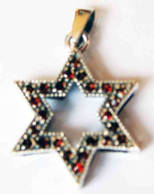 Pretty Silver and Garnets '' Star of David '' Pendant.