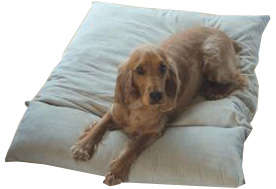 Basic Cushion for Dogs