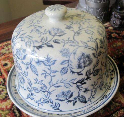 Absolutely gorgeous cheese dome!