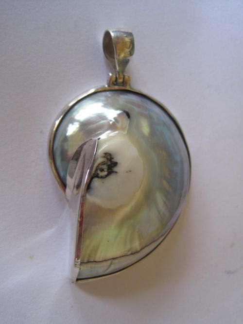 Stunning! Large shell pendant!!! In solid silver.