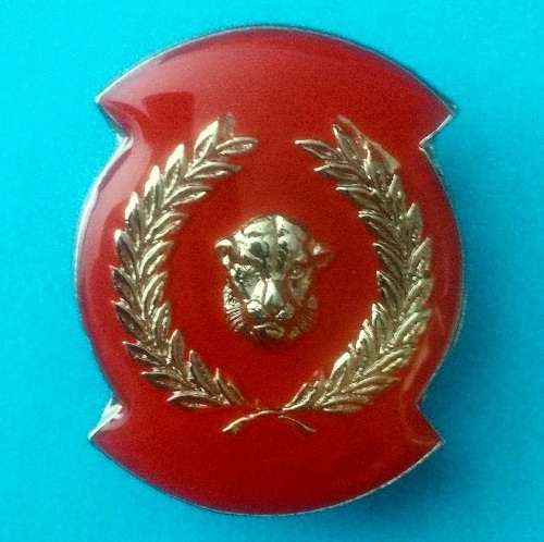 ***Rare*** BOPHUTHATSWANA SENIOR OFFICERS duties qualification badge!!