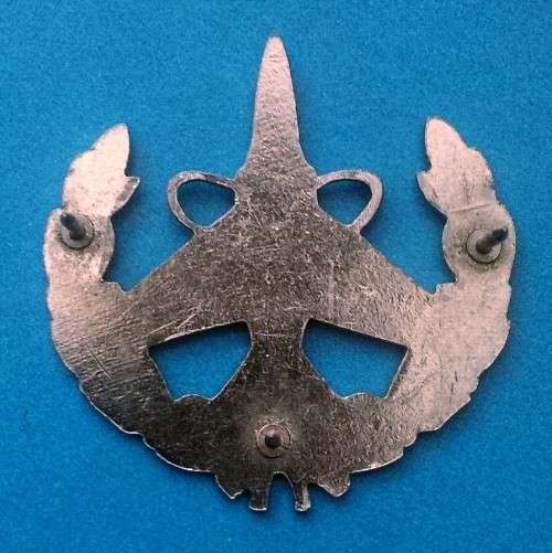***Rare white metal issue*** SAAF COMMAND & CONTROL badge (#2)!!