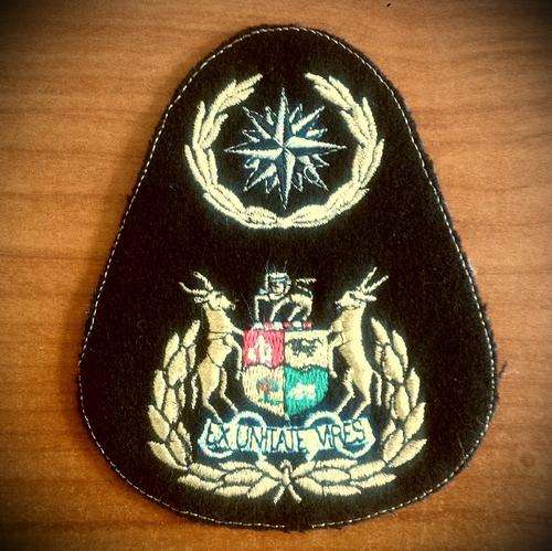 Fantasy RECCE Sergeant Major badge - @@@ R1 START!!!