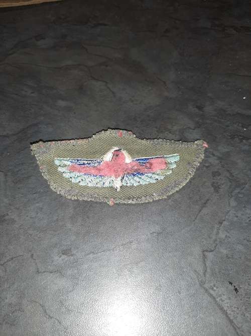 SAS Rhodesian wings ..