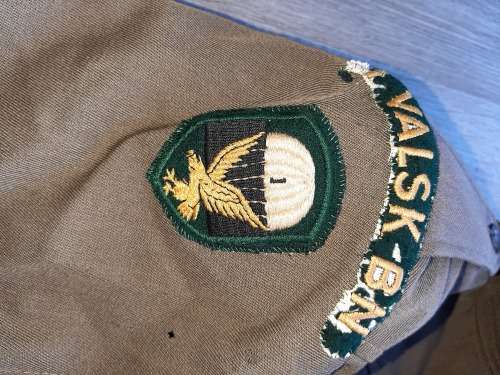 1 parachute battalion bunny jacket with cloth flashes x 1 wing