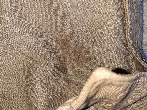 SADF bunny jacket ..