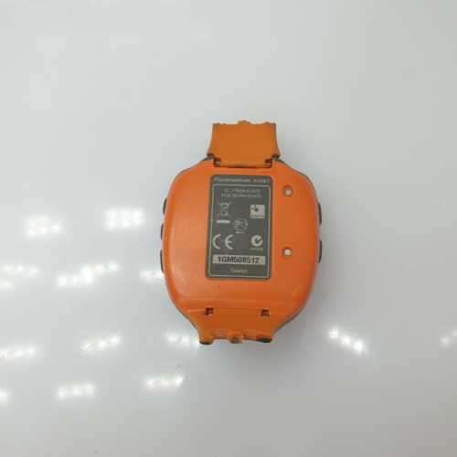 Garmin Forerunner 310XT