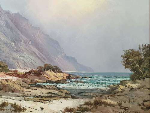 Art, painting by Johan Bonthuys