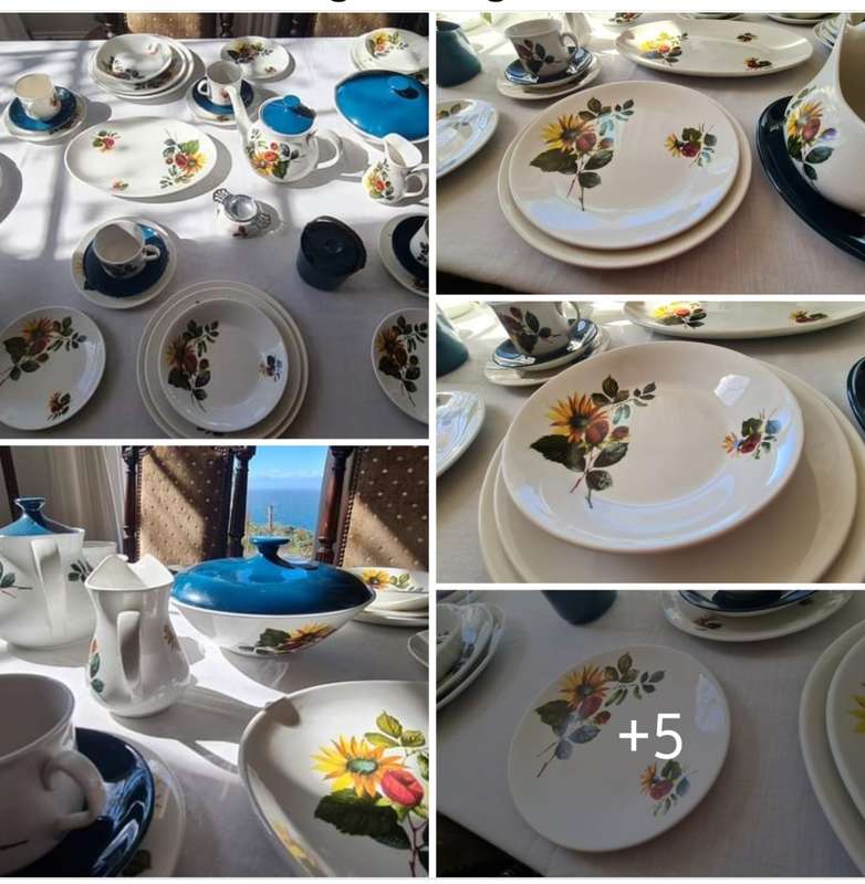 Dinner Set plus Serving Ware and Tea / Coffee Set in the Lovely Carolina Design - Ridgway Ironstone