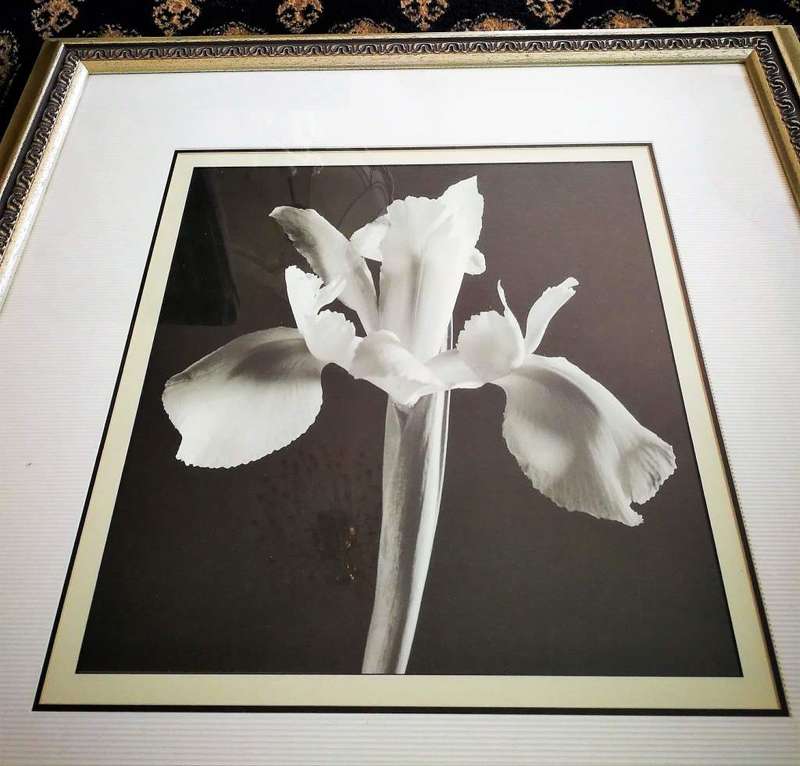 Block Mounted Sepia Print in a Stylish Silver Frame.