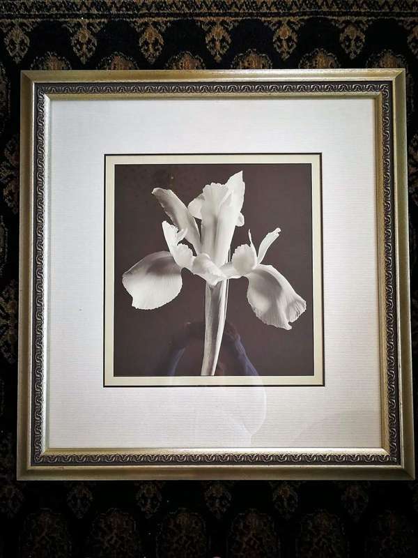 Block Mounted Sepia Print in a Stylish Silver Frame.